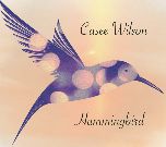 Album cover of "Hummingbird" by Casee Wilson
